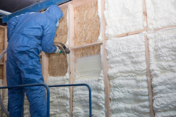 Trusted Nassau Bay, TX Insulation Services Experts